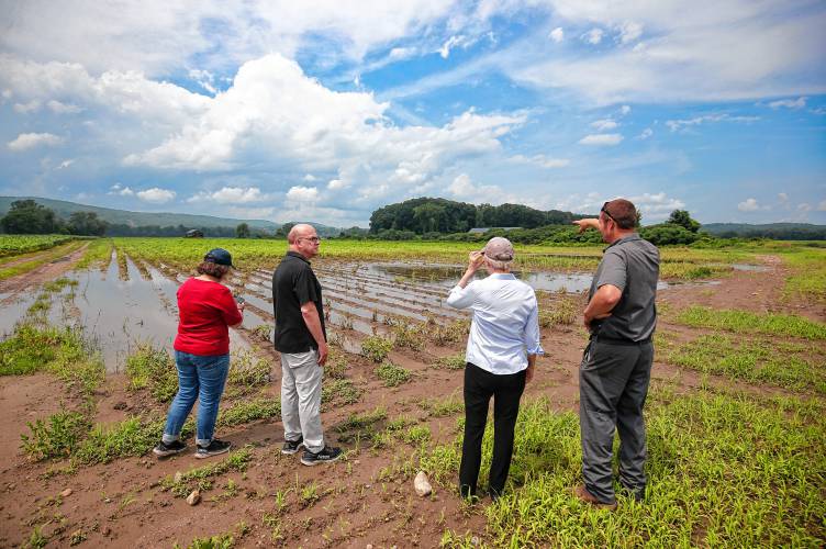Mike Antonellis, owner of Antonellis Farm, right, looks out over his flood-damaged fields with Sen. Elizabeth Warren, U.S. Rep. Jim McGovern and state Sen. Jo Comerford in Deerfield this past summer.