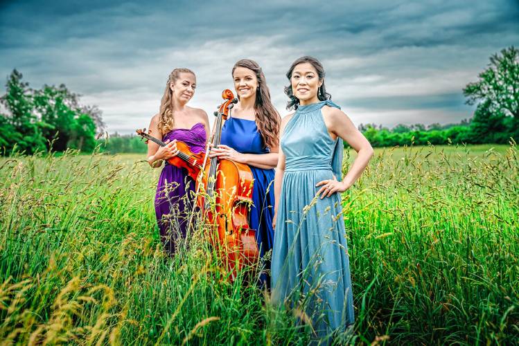 Champlain Trio brings a somewhat unusual sound to The Drake in Amherst — chamber music — on March 10.